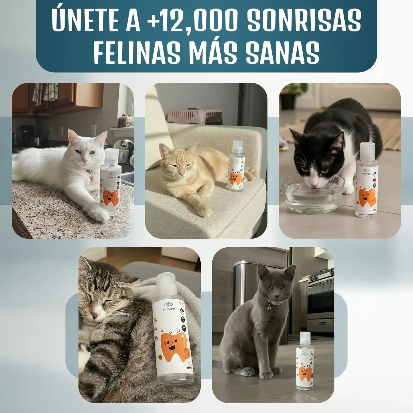 Aroven™ Dental+ Protección Dental 24h