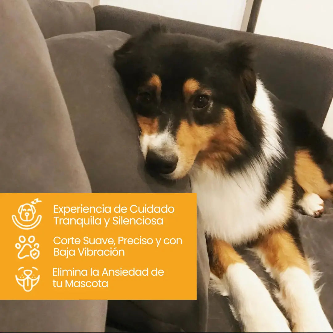 Aroven™ Sin Estrés, Silencioso y en Casa