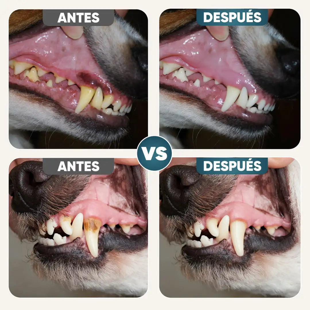 Aroven™ Dental+