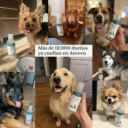 Aroven™ Dental+