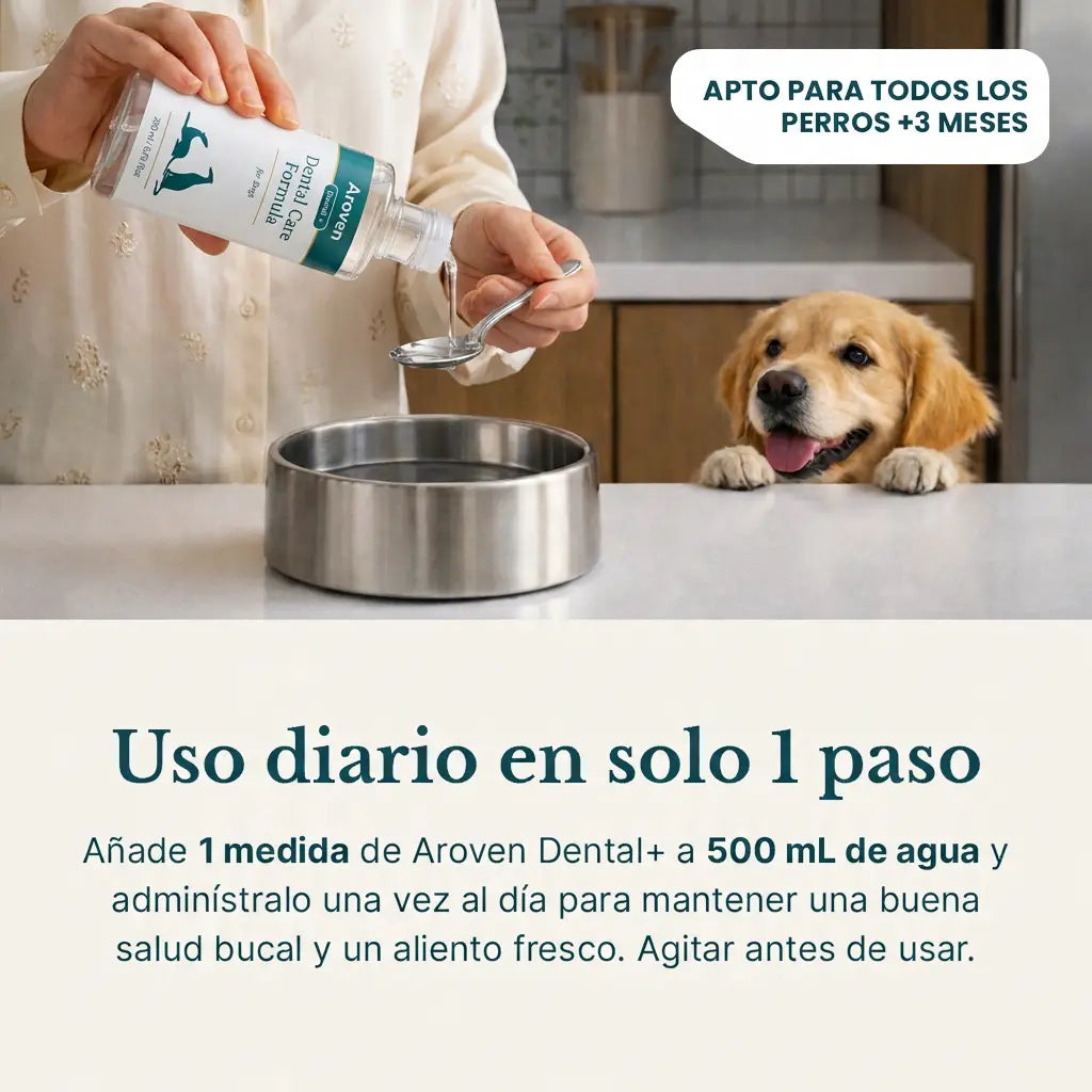 Aroven™ Dental+