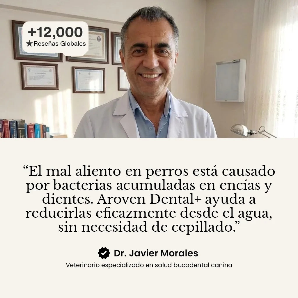 Aroven™ Dental+