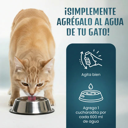 Aroven™ Dental+ Protección Dental 24h