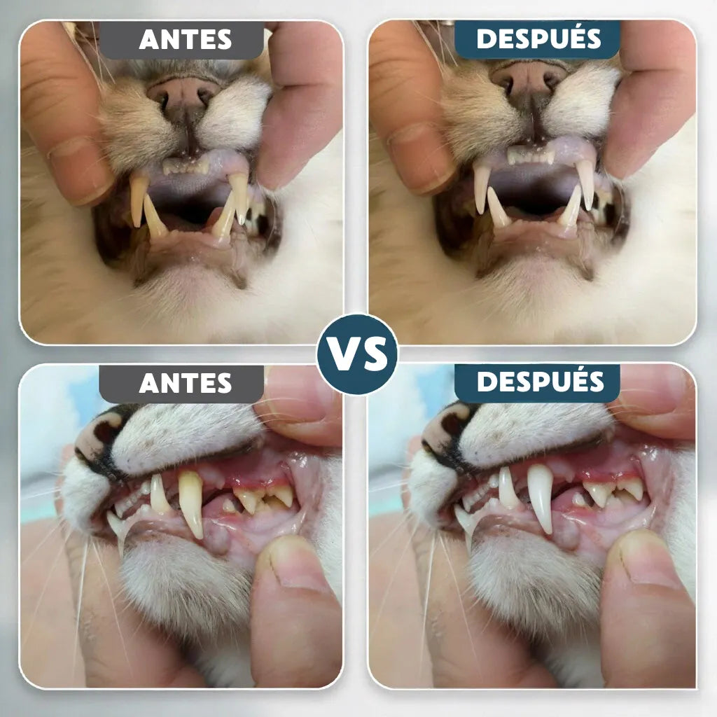 Aroven™ Dental+ Protección Dental 24h