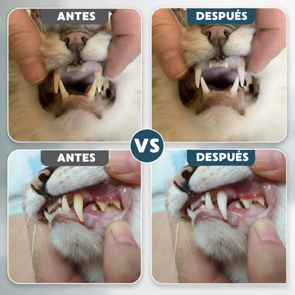 Aroven™ Dental+ Protección Dental 24h